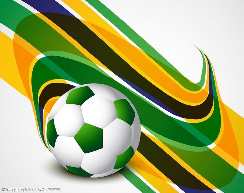 分和组织能 分和组织能